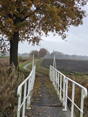 
                            <b>Smalle witte voetbrug over een sloot.</b><br>
                                                        <b>ISO:</b> 50 | <b>Sluitertijd:</b> 1/229 | <b>Diafragma:</b> f/2.4 | <b>Datum:</b> 2025-11-09

                        
