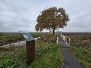 
                            <b>Eenzame boom naast een smalle brug over het kanaal.</b><br>
                                                        <b>ISO:</b> 50 | <b>Sluitertijd:</b> 1/334 | <b>Diafragma:</b> f/2.2 | <b>Datum:</b> 2025-11-09

                        