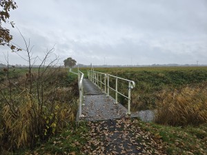 
                            <b>Smalle voetbrug met leuningen overspant een sloot.</b><br>
                                                        <b>ISO:</b> 20 | <b>Sluitertijd:</b> 1/180 | <b>Diafragma:</b> f/1.7 | <b>Datum:</b> 2025-11-09

                        