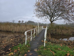 
                            <b>Smalle voetbrug met witte leuningen over een sloot.</b><br>
                                                        <b>ISO:</b> 25 | <b>Sluitertijd:</b> 1/180 | <b>Diafragma:</b> f/1.7 | <b>Datum:</b> 2025-11-09

                        