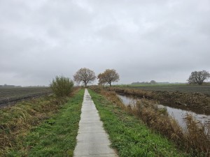 
                            <b>Rechte betonnen wandelpad leidt naar twee bomen in de verte.</b><br>
                                                        <b>ISO:</b> 25 | <b>Sluitertijd:</b> 1/180 | <b>Diafragma:</b> f/1.7 | <b>Datum:</b> 2025-11-09

                        
