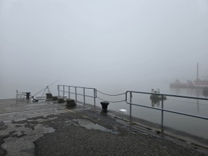 
                            <b>Vishengel staat opgesteld op een kade aan het water.</b><br>
                                                        <b>ISO:</b> 12 | <b>Sluitertijd:</b> 1/202 | <b>Diafragma:</b> f/1.7 | <b>Datum:</b> 2025-11-08

                        