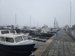 
                            <b>Aangemeerde boten liggen in een jachthaven.</b><br>
                                                        <b>ISO:</b> 12 | <b>Sluitertijd:</b> 1/213 | <b>Diafragma:</b> f/1.7 | <b>Datum:</b> 2025-11-07

                        
