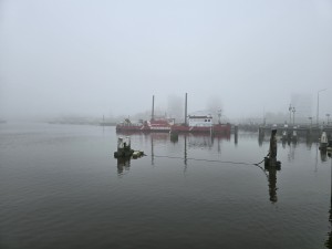
                            <b>Rode veerboot ligt aangemeerd in de haven.</b><br>
                                                        <b>ISO:</b> 12 | <b>Sluitertijd:</b> 1/211 | <b>Diafragma:</b> f/1.7 | <b>Datum:</b> 2025-11-07

                        