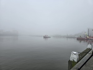 
                            <b>Een rode sleepboot vaart rustig over het water.</b><br>
                                                        <b>ISO:</b> 12 | <b>Sluitertijd:</b> 1/248 | <b>Diafragma:</b> f/1.7 | <b>Datum:</b> 2025-11-07

                        