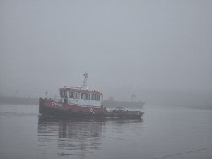 
                            <b>Rode en witte sleepboot GYAS vaart op het water.</b><br>
                                                        <b>ISO:</b> 80 | <b>Sluitertijd:</b> 1/719 | <b>Diafragma:</b> f/3.4 | <b>Datum:</b> 2025-11-07

                        