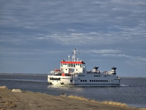 
                            <b>Een veerboot vaart over het water.</b><br>
                                                        <b>ISO:</b> 32 | <b>Sluitertijd:</b> 1/944 | <b>Diafragma:</b> f/3.4 | <b>Datum:</b> 2025-11-05

                        