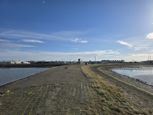 
                            <b>Verlaten dijkweg leidt naar een haven met vuurtoren in verte.</b><br>
                                                        <b>ISO:</b> 12 | <b>Sluitertijd:</b> 1/1468 | <b>Diafragma:</b> f/1.7 | <b>Datum:</b> 2025-11-05

                        