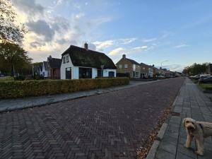 
                            <b>Een krullige hond staat aan de stoep en kijkt naar de camera.</b><br>
                                                        <b>ISO:</b> 50 | <b>Sluitertijd:</b> 1/135 | <b>Diafragma:</b> f/2.2 | <b>Datum:</b> 2025-11-02

                        