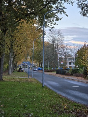 
                            <b>Lantaarnpalen langs een rustige weg met geparkeerde auto's.</b><br>
                                                        <b>ISO:</b> 125 | <b>Sluitertijd:</b> 1/100 | <b>Diafragma:</b> f/3.4 | <b>Datum:</b> 2025-11-02

                        