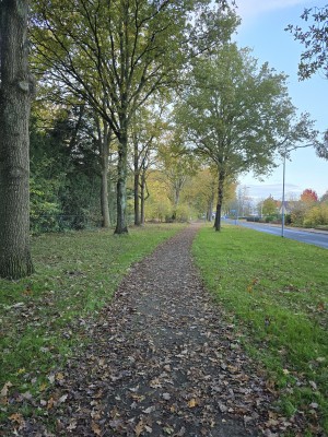 
                            <b>Bladbedekt wandelpad langs bomen.</b><br>
                                                        <b>ISO:</b> 200 | <b>Sluitertijd:</b> 1/180 | <b>Diafragma:</b> f/1.7 | <b>Datum:</b> 2025-11-02

                        