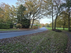 
                            <b>Een lege weg met straatlantaarns langs bomen.</b><br>
                                                        <b>ISO:</b> 160 | <b>Sluitertijd:</b> 1/180 | <b>Diafragma:</b> f/1.7 | <b>Datum:</b> 2025-11-02

                        