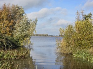 
                            <b>Stil meer met riet en overhangende bomen.</b><br>
                                                        <b>ISO:</b> 50 | <b>Sluitertijd:</b> 1/1978 | <b>Diafragma:</b> f/2.4 | <b>Datum:</b> 2025-11-02

                        