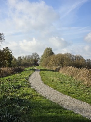 
                            <b>Een kronkelend grindpad slingert door het landschap.</b><br>
                                                        <b>ISO:</b> 50 | <b>Sluitertijd:</b> 1/2296 | <b>Diafragma:</b> f/2.4 | <b>Datum:</b> 2025-11-02

                        