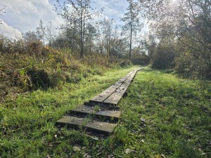 
                            <b>Houten vlonderpad slingert door het gras.</b><br>
                                                        <b>ISO:</b> 12 | <b>Sluitertijd:</b> 1/781 | <b>Diafragma:</b> f/1.7 | <b>Datum:</b> 2025-11-02

                        