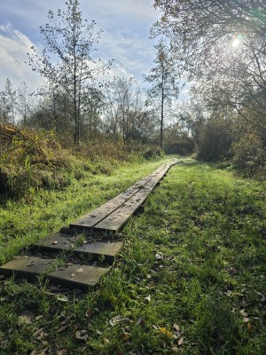 
                            <b>Houten vlonderpad slingert door het gras.</b><br>
                                                        <b>ISO:</b> 12 | <b>Sluitertijd:</b> 1/1242 | <b>Diafragma:</b> f/1.7 | <b>Datum:</b> 2025-11-02

                        