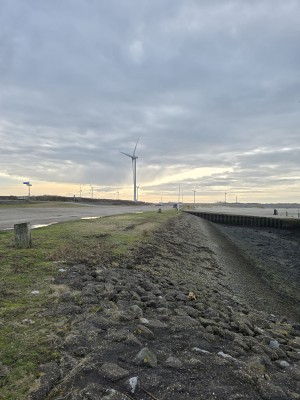
                            <b>Grote windmolen met draaiende wieken.</b><br>
                                                        <b>ISO:</b> 12 | <b>Sluitertijd:</b> 2187479/1000000000 | <b>Diafragma:</b> f/1.7 | <b>Datum:</b> 2026-02-08

                        