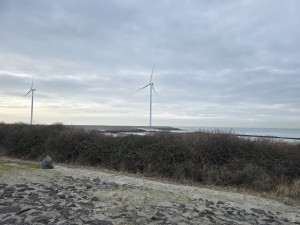
                            <b>Twee windturbines draaien langzaam.</b><br>
                                                        <b>ISO:</b> 12 | <b>Sluitertijd:</b> 3401069/1000000000 | <b>Diafragma:</b> f/1.7 | <b>Datum:</b> 2026-02-08

                        