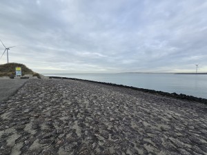 
                            <b>Stenen dijk loopt langs het water.</b><br>
                                                        <b>ISO:</b> 50 | <b>Sluitertijd:</b> 130921/125000000 | <b>Diafragma:</b> f/2.2 | <b>Datum:</b> 2026-02-08

                        