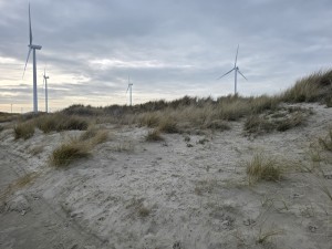 
                            <b>Drie windturbines wekken energie op.</b><br>
                                                        <b>ISO:</b> 12 | <b>Sluitertijd:</b> 2347023/1000000000 | <b>Diafragma:</b> f/1.7 | <b>Datum:</b> 2026-02-08

                        