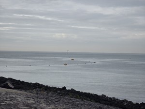 
                            <b>Gele boeien drijven op het water in een lange rij.</b><br>
                                                        <b>ISO:</b> 32 | <b>Sluitertijd:</b> 2199357/1000000000 | <b>Diafragma:</b> f/3.4 | <b>Datum:</b> 2026-02-08

                        