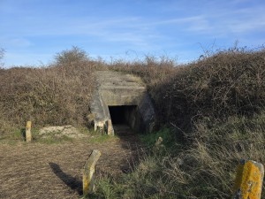 
                            <b>Ingang van een betonnen bunker met donkere tunnelopening.</b><br>
                                                        <b>ISO:</b> 12 | <b>Sluitertijd:</b> 2290521/1000000000 | <b>Diafragma:</b> f/1.7 | <b>Datum:</b> 2026-02-08

                        