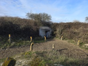 
                            <b>Betonnen bunker met open ingang.</b><br>
                                                        <b>ISO:</b> 12 | <b>Sluitertijd:</b> 2290521/1000000000 | <b>Diafragma:</b> f/1.7 | <b>Datum:</b> 2026-02-08

                        