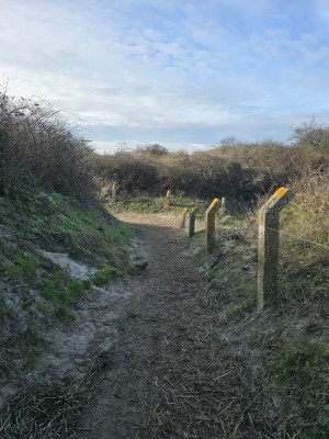 
                            <b>Zanderig wandelpad met houten palen langs de rand.</b><br>
                                                        <b>ISO:</b> 12 | <b>Sluitertijd:</b> 1481203/500000000 | <b>Diafragma:</b> f/1.7 | <b>Datum:</b> 2026-02-08

                        