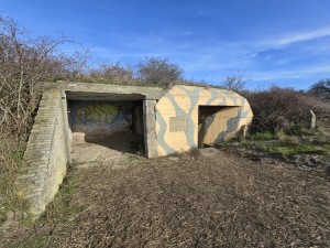 
                            <b>Gecamoufleerde betonnen bunker met graffiti en open ingang.</b><br>
                                                        <b>ISO:</b> 50 | <b>Sluitertijd:</b> 18993/31250000 | <b>Diafragma:</b> f/2.2 | <b>Datum:</b> 2026-02-08

                        