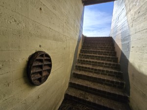 
                            <b>Stenen trap leidt omhoog naar de uitgang.</b><br>
                                                        <b>ISO:</b> 50 | <b>Sluitertijd:</b> 131129/200000000 | <b>Diafragma:</b> f/2.2 | <b>Datum:</b> 2026-02-08

                        