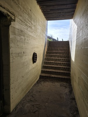 
                            <b>Trap in betonnen bunker leidt omhoog naar uitgang.</b><br>
                                                        <b>ISO:</b> 12 | <b>Sluitertijd:</b> 2518203/1000000000 | <b>Diafragma:</b> f/1.7 | <b>Datum:</b> 2026-02-08

                        