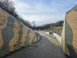 
                            <b>Camouflagebeschilderde betonnen bunkerdoorgang langs een smal pad.</b><br>
                                                        <b>ISO:</b> 12 | <b>Sluitertijd:</b> 1311291/1000000000 | <b>Diafragma:</b> f/1.7 | <b>Datum:</b> 2026-02-08

                        