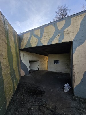 
                            <b>Betonnen tunnelpassage met camouflage-muurschildering en donkere doorgang.</b><br>
                                                        <b>ISO:</b> 50 | <b>Sluitertijd:</b> 26499/15625000 | <b>Diafragma:</b> f/2.2 | <b>Datum:</b> 2026-02-08

                        