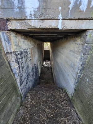
                            <b>Betonnen trapgang in bunker leidt naar donkere ondergrondse doorgang.</b><br>
                                                        <b>ISO:</b> 64 | <b>Sluitertijd:</b> 2497831/125000000 | <b>Diafragma:</b> f/2.2 | <b>Datum:</b> 2026-02-08

                        
