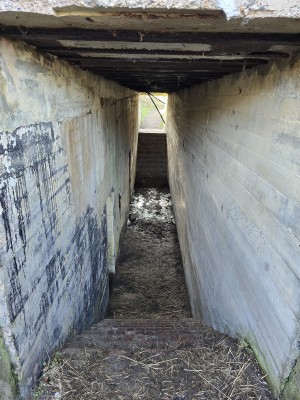 
                            <b>Smerige betonnen onderdoorgang met trap naar beneden.</b><br>
                                                        <b>ISO:</b> 200 | <b>Sluitertijd:</b> 2497831/250000000 | <b>Diafragma:</b> f/1.7 | <b>Datum:</b> 2026-02-08

                        