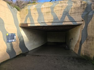 
                            <b>Ingang van een gecamoufleerde bunker met donkere tunnelopening.</b><br>
                                                        <b>ISO:</b> 12 | <b>Sluitertijd:</b> 4363129/1000000000 | <b>Diafragma:</b> f/1.7 | <b>Datum:</b> 2026-02-08

                        