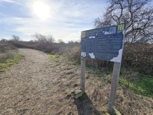 
                            <b>Informatiebord over Bunkerroute De Punt.</b><br>
                                                        <b>ISO:</b> 50 | <b>Sluitertijd:</b> 264693/500000000 | <b>Diafragma:</b> f/2.2 | <b>Datum:</b> 2026-02-08

                        