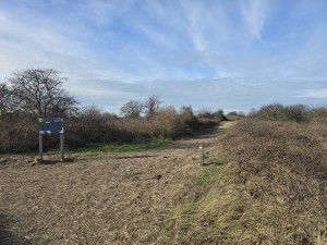 
                            <b>Onverhard wandelpad met informatiebord langs de route.</b><br>
                                                        <b>ISO:</b> 12 | <b>Sluitertijd:</b> 701563/500000000 | <b>Diafragma:</b> f/1.7 | <b>Datum:</b> 2026-02-08

                        