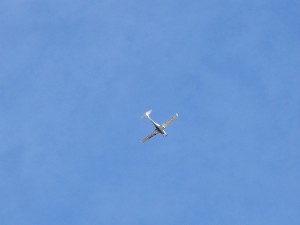 
                            <b>Een klein vliegtuig vliegt hoog boven.</b><br>
                                                        <b>ISO:</b> 32 | <b>Sluitertijd:</b> 2580321/1000000000 | <b>Diafragma:</b> f/3.4 | <b>Datum:</b> 2026-02-08

                        