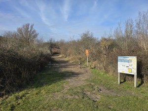
                            <b>Wandelpad met informatiebord bij ingang van natuurgebied.</b><br>
                                                        <b>ISO:</b> 12 | <b>Sluitertijd:</b> 713053/500000000 | <b>Diafragma:</b> f/1.7 | <b>Datum:</b> 2026-02-08

                        