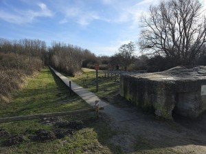 
                            <b>Betonnen bunker naast een houten wandelpad.</b><br>
                                                        <b>ISO:</b> 12 | <b>Sluitertijd:</b> 606133/500000000 | <b>Diafragma:</b> f/1.7 | <b>Datum:</b> 2026-02-08

                        