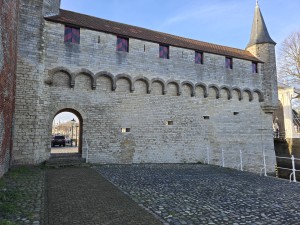 
                            <b>Middeleeuwse stadsmuur met poort en toren van natuursteen.</b><br>
                                                        <b>ISO:</b> 16 | <b>Sluitertijd:</b> 5567099/1000000000 | <b>Diafragma:</b> f/1.7 | <b>Datum:</b> 2026-02-08

                        