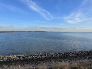 
                            <b>Windmolens aan het water met overvliegende vogels.</b><br>
                                                        <b>ISO:</b> 50 | <b>Sluitertijd:</b> 78481/125000000 | <b>Diafragma:</b> f/2.2 | <b>Datum:</b> 2026-02-08

                        