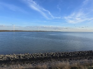 
                            <b>Vogels vliegen in grote zwerm boven het water.</b><br>
                                                        <b>ISO:</b> 50 | <b>Sluitertijd:</b> 78481/125000000 | <b>Diafragma:</b> f/2.2 | <b>Datum:</b> 2026-02-08

                        