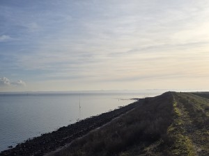 
                            <b>Een dijkpad langs rustige kustlijn naast uitgestrekt water.</b><br>
                                                        <b>ISO:</b> 12 | <b>Sluitertijd:</b> 30671/62500000 | <b>Diafragma:</b> f/1.7 | <b>Datum:</b> 2026-02-08

                        
