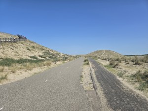 
                            <b>Verharde weg door duinlandschap met zandheuvels en helmgras</b><br>
                                                        <b>ISO:</b> 12 | <b>Sluitertijd:</b> 451227/500000000 | <b>Diafragma:</b> f/1.7 | <b>Datum:</b> 2026-05-25

                        