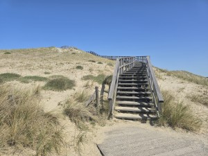 
                            <b>Houten trap leidt omhoog door de duinen.</b><br>
                                                        <b>ISO:</b> 12 | <b>Sluitertijd:</b> 190019/200000000 | <b>Diafragma:</b> f/1.7 | <b>Datum:</b> 2026-05-25

                        