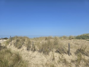 
                            <b>Zandduinen met helmgras en houten paaltjes</b><br>
                                                        <b>ISO:</b> 12 | <b>Sluitertijd:</b> 887911/1000000000 | <b>Diafragma:</b> f/1.7 | <b>Datum:</b> 2026-05-25

                        