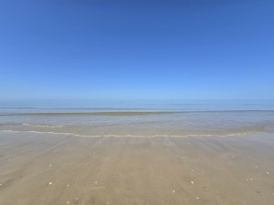
                            <b>Rustige zee met zachte golven op nat zand</b><br>
                                                        <b>ISO:</b> 50 | <b>Sluitertijd:</b> 173501/500000000 | <b>Diafragma:</b> f/2.2 | <b>Datum:</b> 2026-05-25

                        