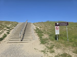 
                            <b>Strandopgang met trap door duinen bij Panoramaduin</b><br>
                                                        <b>ISO:</b> 12 | <b>Sluitertijd:</b> 220779/250000000 | <b>Diafragma:</b> f/1.7 | <b>Datum:</b> 2026-05-25

                        